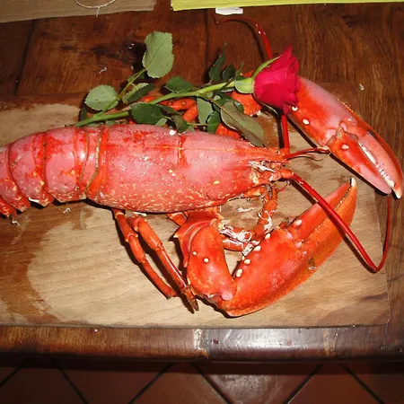 Nocleg ze śniadaniem Le Buzet Bleu 3*