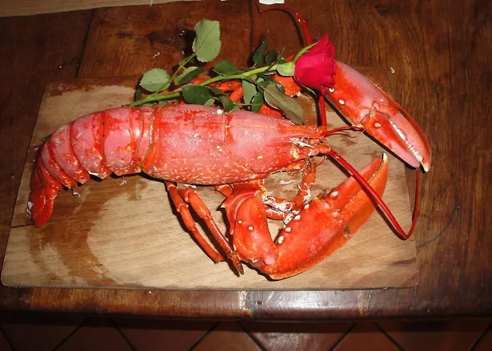 Couette-café Le Buzet Bleu 3*