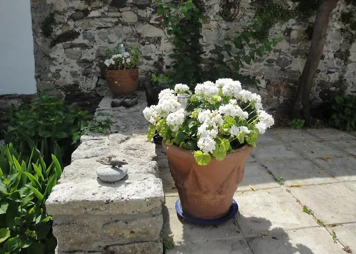 Alojamento de Acomodação e Pequeno-almoço Le Buzet Bleu 3*